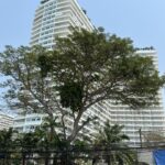 Студия 48м2 в View Talay 7